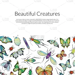 昆虫,动物手,背景,女人,自然美,绘制,复古