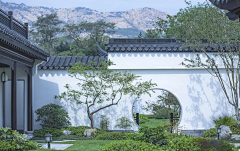 苍狗又白云111采集到小空间植物配置