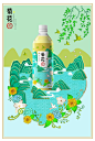 圣智扬源味菊花茶LOGO设计及饮料包装设计 #LOGO设计集#
