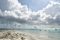 a group of people flying kites on a beach