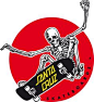 skate skaboard santa cruz 5