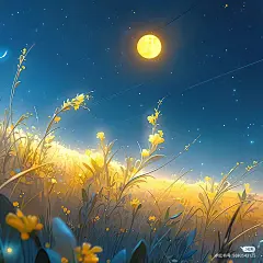 @X先生是高冷 ，整理丨采集至小红书