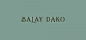Balay Dako餐厅品牌视觉设计 - And a Half 设计圈 展示 设计时代网-Powered by thinkdo3