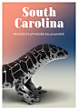 The Most Endangered Wildlife in Every US State : Thousands of endangered species around the world are on the brink of extinction. And human beings are bio-diversity’s greatest enemy: we’re responsible for the endangered status of 99% of at-risk species.A 