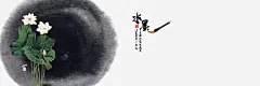 荷花 平面电商 创意素材 png素材