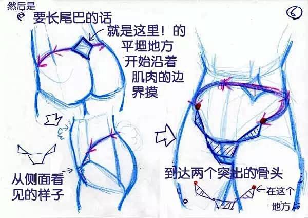 【绘画教材】女生腰部的学习教材2，P站作...