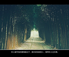 记住你～永远采集到记住你～YHH