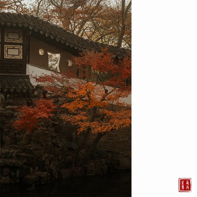 风起，叶落，枫林晚。 拙政园｜留园 -花瓣网