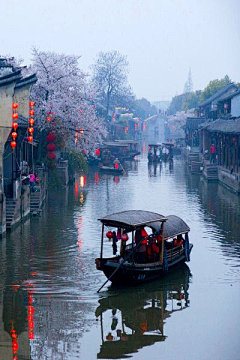 秋雨落桐采集到国画