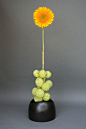 Ikebana-mass and line | Flickr - Photo Sharing!