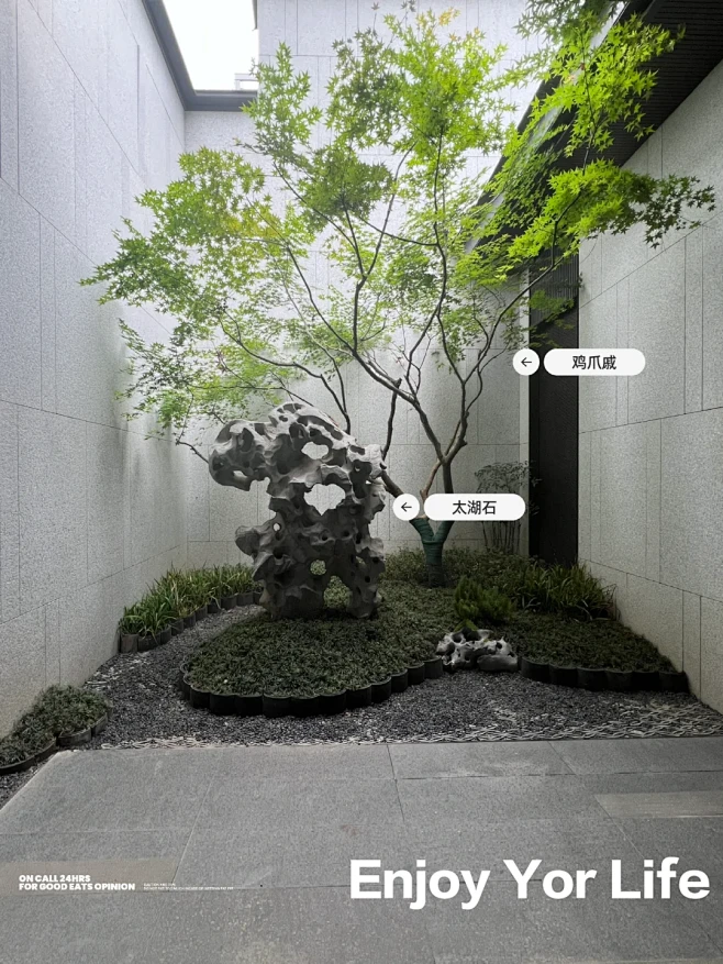 植物搭配｜禅意庭院｜灰空间 - 小红书