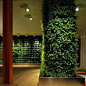 厂家定制 高仿真植物墙 人造植物墙 批发 室内家居办公绿化装饰品-淘宝网