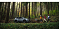 Nissan X-Trail N-Trek :: Behance