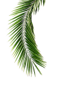 f3cb0587f65f51538cc83b440bdd3039dfb4c93c36d5e-I0XIOM_fw658