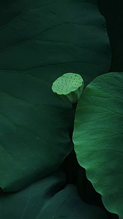 ~晴儿~采集到设计灵感图片