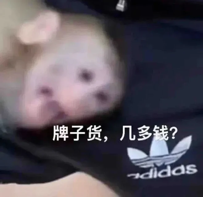 吗喽表情包来啦… - 知乎