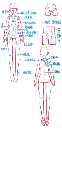 腰果魔法师采集到人物