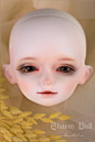 【现货】bjd-CD-1/4男狐狸（sd娃娃同类正版）CharmDoll关节人形-淘宝网