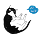 Mr.Cat : Mr.Cat is a Fat Cat