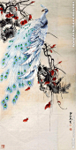 孔雀 梅花