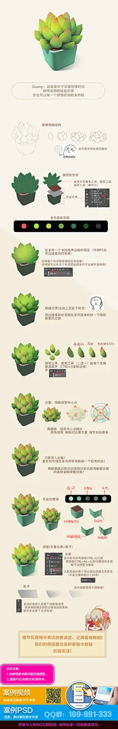 图文教程_多肉