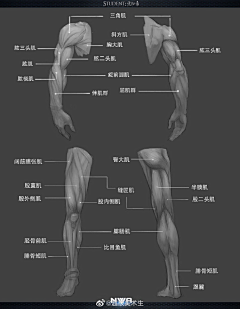 繁星托尔采集到人体fang'k