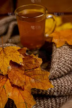 秋天的成分。一杯热茶，秋叶上美利奴羊毛围巾。怀念秋天。