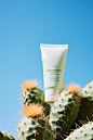 17681537045_Cleanser_Cream_Cactus_Photography_Blue_Sky_Sunny_Br_43b29149-9b94-48ae-84a4-24f5afe7d72c