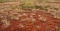 vsh_ground60