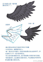 #绘画参考# 鸟&蝙蝠的翅膀教程，学会这几种画法，画出帅气的蝙蝠侠也不在话下~（整理by@半次元绘画频道 ）