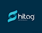 标志说明：HITAG生物科技logo设计欣赏