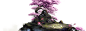 psb (2480×900)