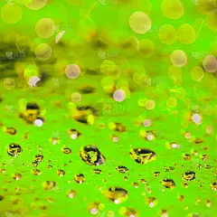 抽象的绿色背景与水珠和金色眩光，浅景深