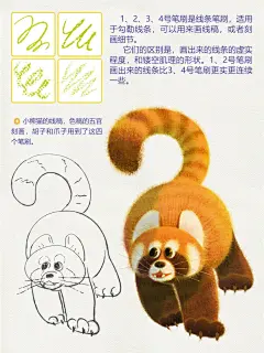 光买不画？希望这套色粉笔刷教程能治愈你