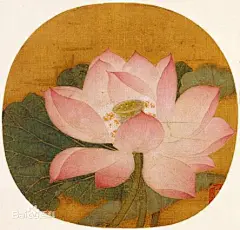 宋吴炳出水芙蓉图图片_百度百科