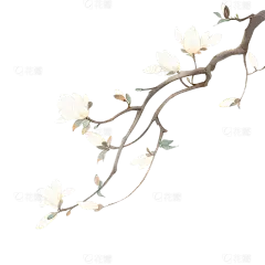 花瓣素材_植物系列水墨风垂坠玉兰花花枝_194038356
