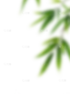 花瓣素材_植物系列朦胧感模糊树叶叶片_194092974