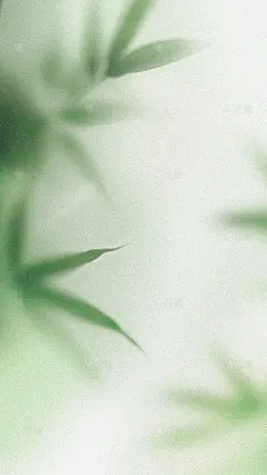 惊蛰弥散肌理模糊植物背景