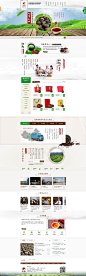 新会小青柑加工_新会柑普茶加工_新会柑普茶厂家_新会陈皮批发_小青柑供应商_柑魁柑普茶有限公司
