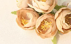 小清新浆果和花朵暖色桌面壁纸