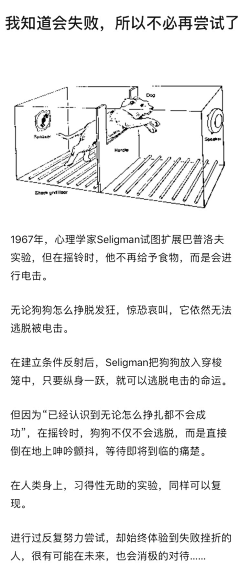 yaotup采集到一些知识