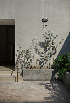 vague11采集到店铺