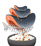 maruimichi_ (28)
