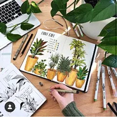 水彩---叶子 - 高清图片，堆糖，美图壁纸兴趣社区