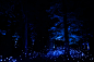 MomentFactory_NorthForestLights_Signature_Shows_DSC03807-WS