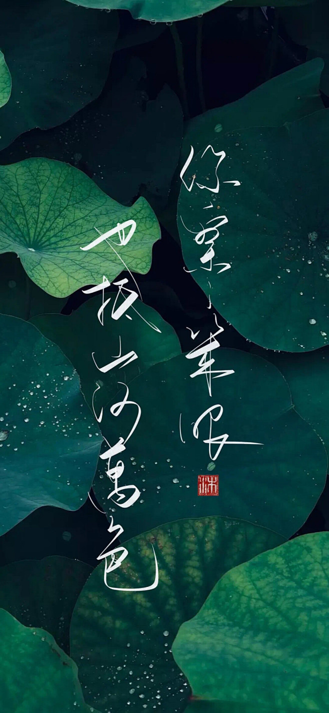 念晚，临一程山水，描一段心语，踏一梦岁月...