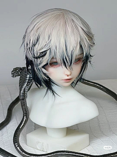 ss花雨ssxhhh采集到bjd