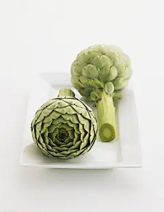 口感类似鲜笋与蘑菇之间的养生植物，叶片有灰白色蛛丝状绒毛。基部叶呈莲座状生长，披针形大而肥厚，6叶前为全缘，6叶后为羽状深裂，9叶后羽状深裂并有粗锯齿（被扎过好几次了……）。现在处于一年生的短缩茎，二年生现蕾就可以吃了~