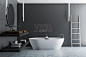 灰色瓷砖浴室，双水槽，浴缸，梯子