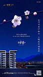惊蛰画面------二十四节气（朋友圈）